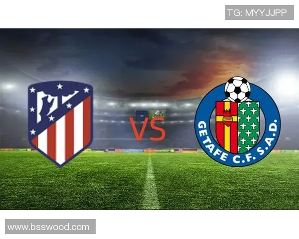 圣帕特里与北雪平比赛结果分析及精彩瞬间回顾