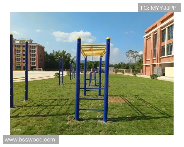 篮球架的设计与演变:从传统到现代技术的革新与挑战 篮球架的设计与演变:从传统到现代技术的革新与挑战